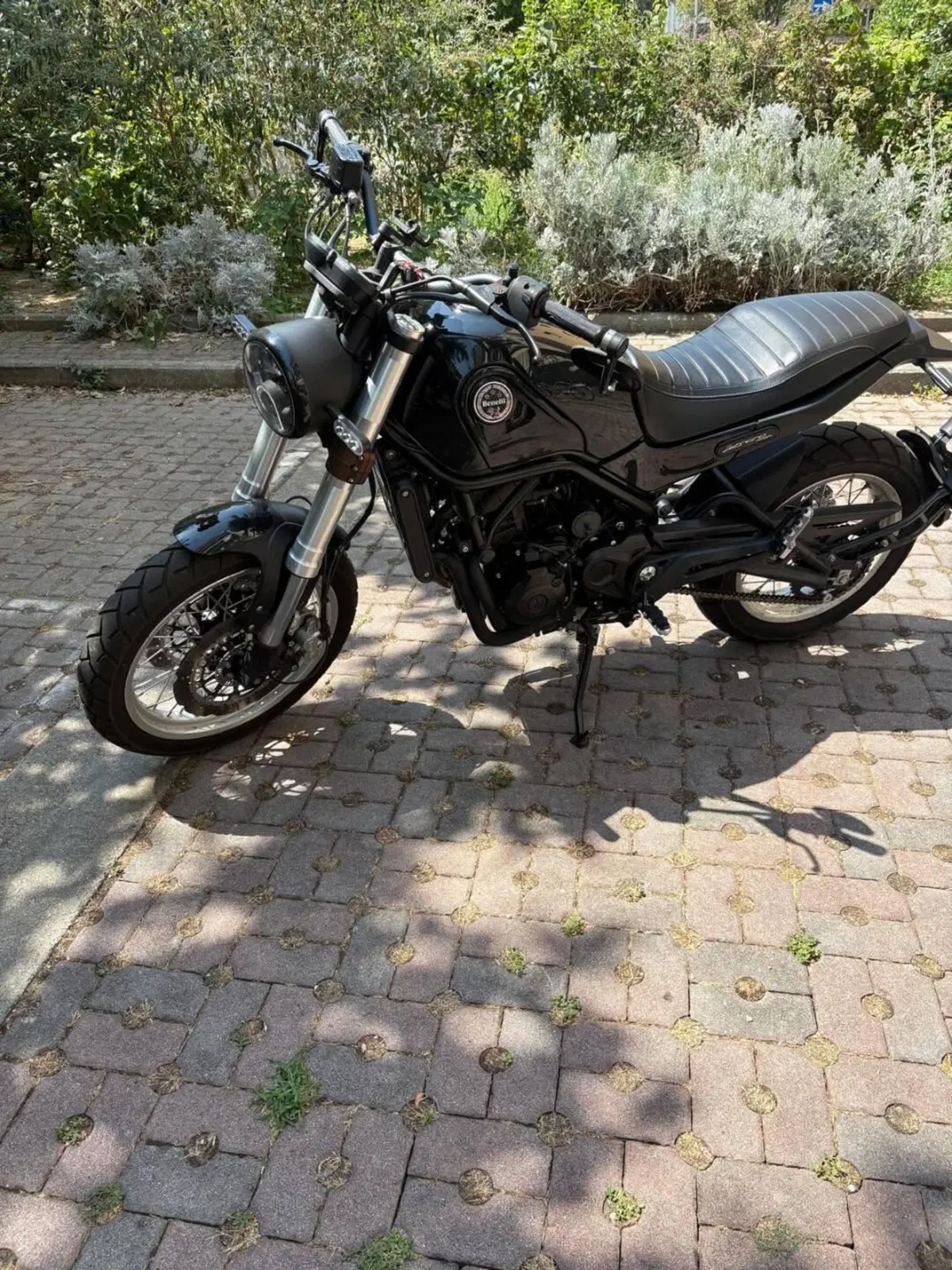 Benelli Leoncino 500 Trail (2021 - 26) (16)