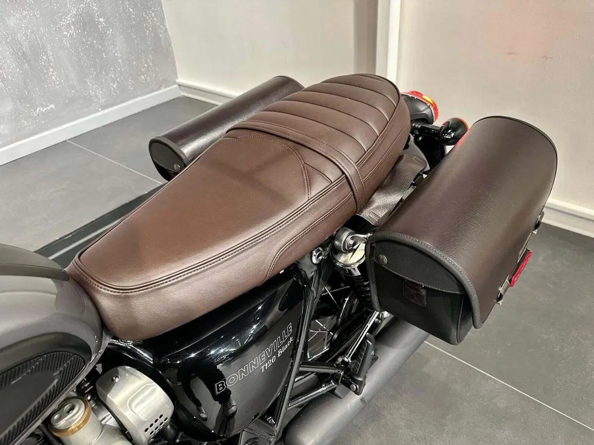Triumph Bonneville T120 Black (2021 - 25) (12)