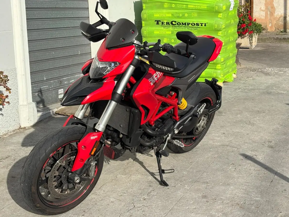 Ducati Hypermotard 939 (2016 - 18) (10)