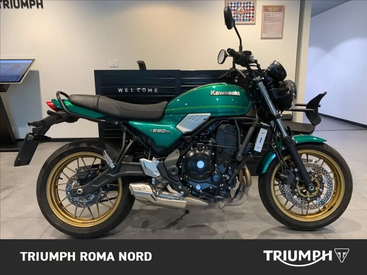 Kawasaki Z 650 RS (2022 - 24)