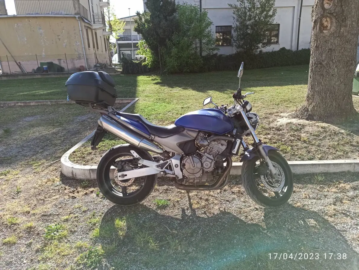 Honda Hornet 600 (2003 - 04) (2)
