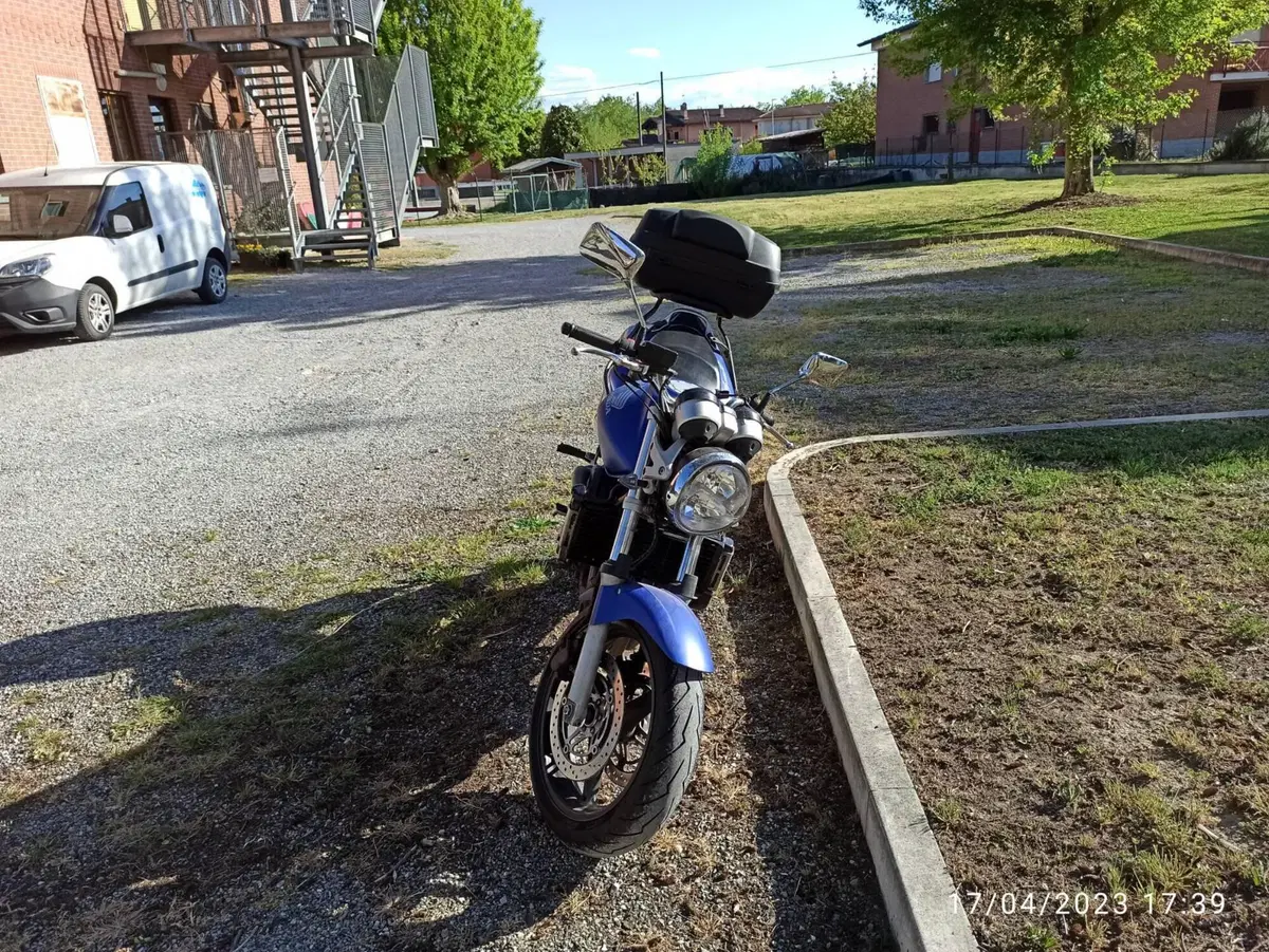 Honda Hornet 600 (2003 - 04) (3)