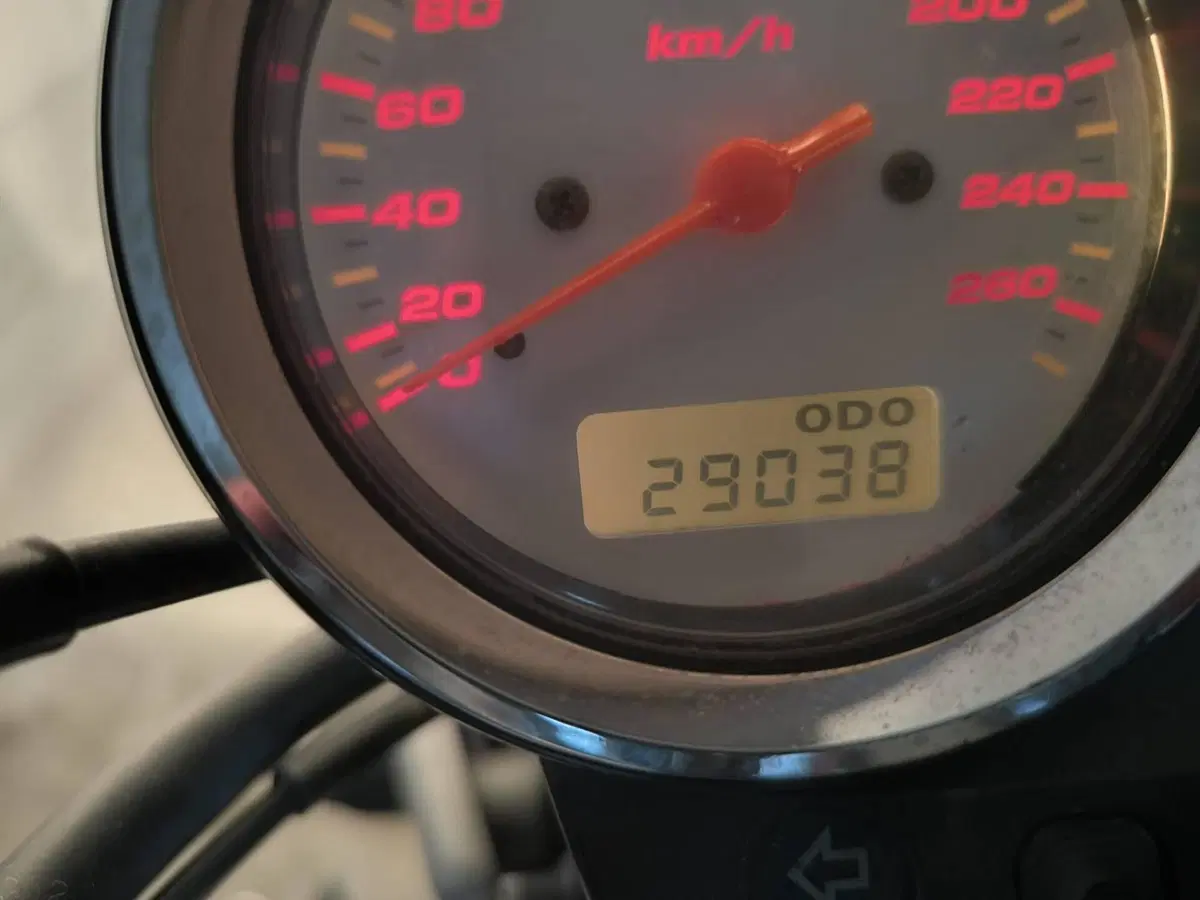 Honda Hornet 600 (2003 - 04) (5)