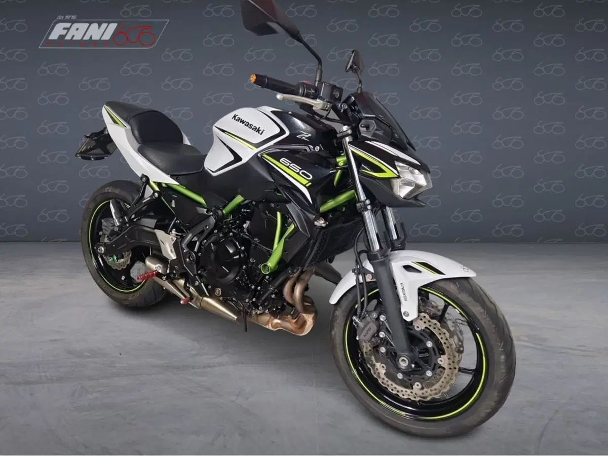 Kawasaki Z 650 (2020) (2)