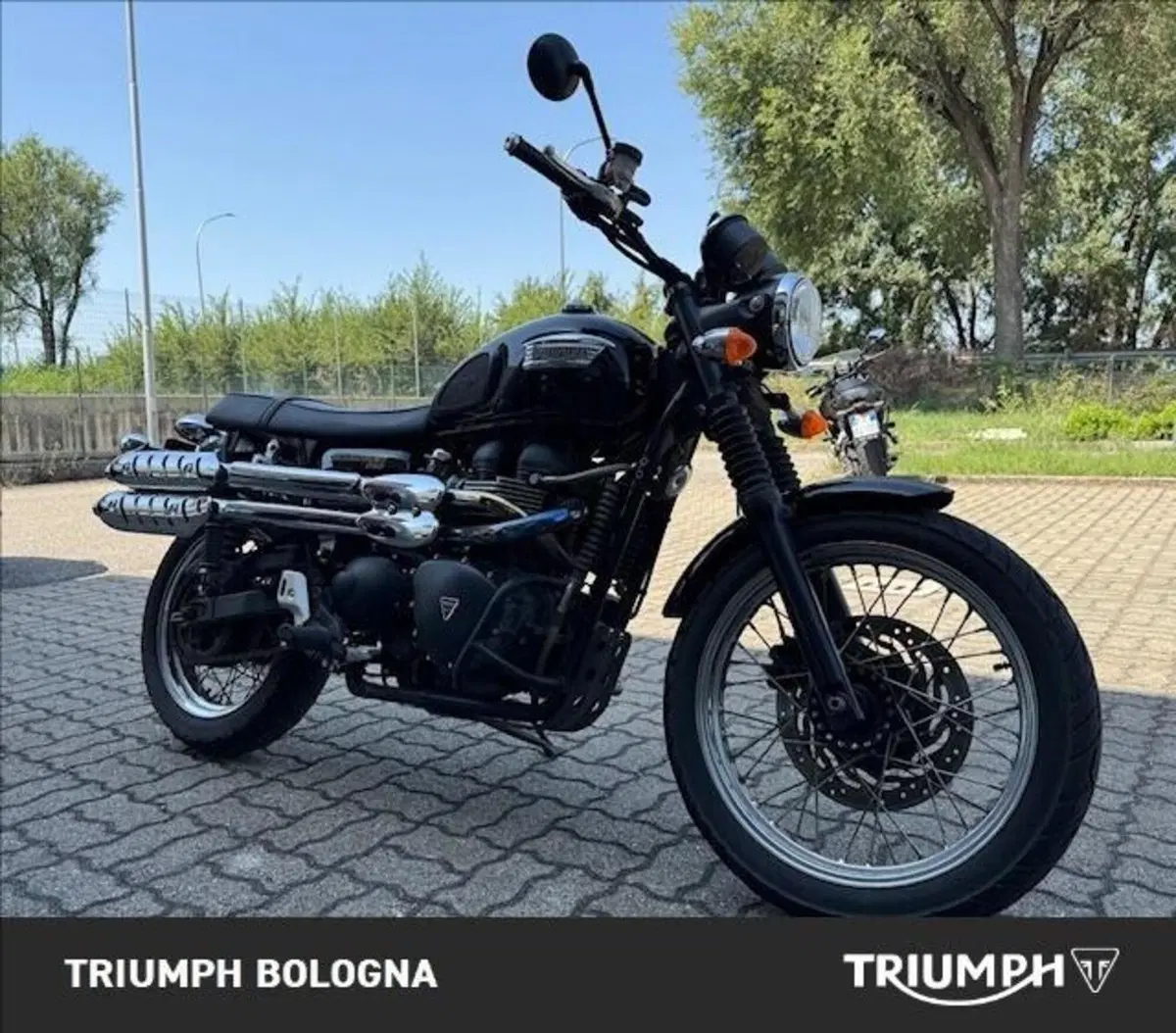 Triumph Scrambler (2006 - 17) (6)