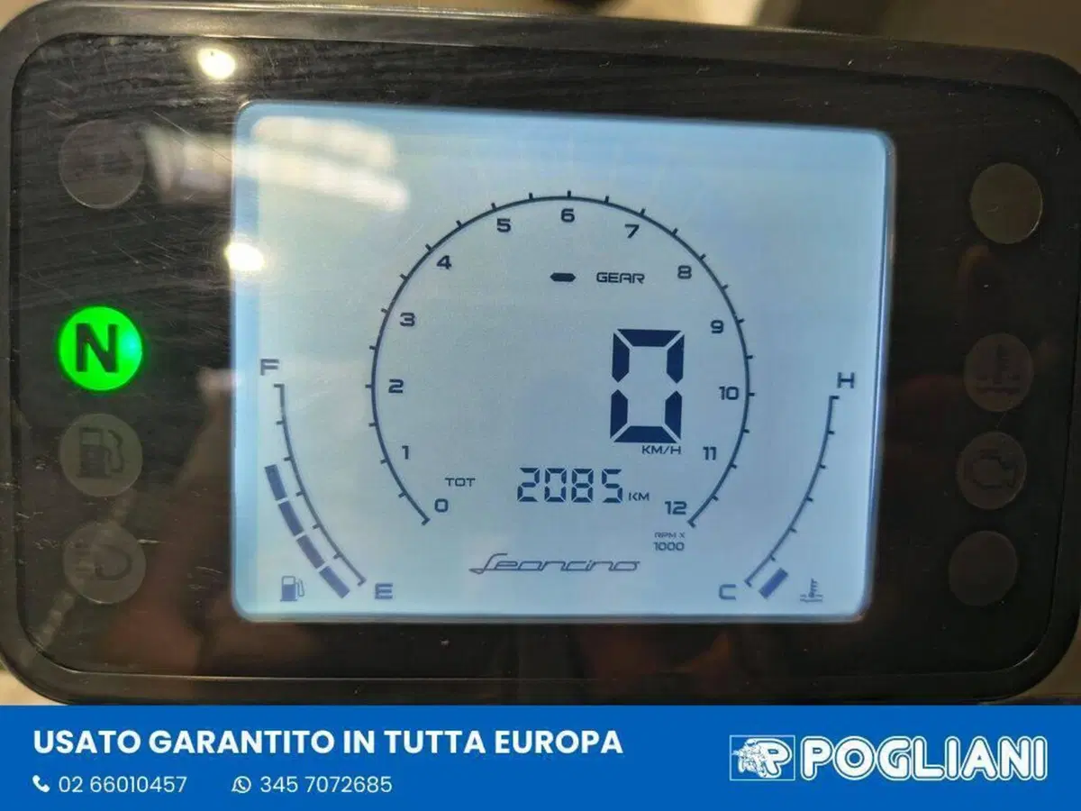 Benelli Leoncino 125 (2022 - 25) (9)