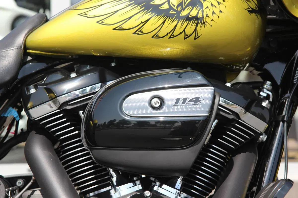 Harley-Davidson 114 Road Glide Special (2019 - 20) - FLTRXS (9)