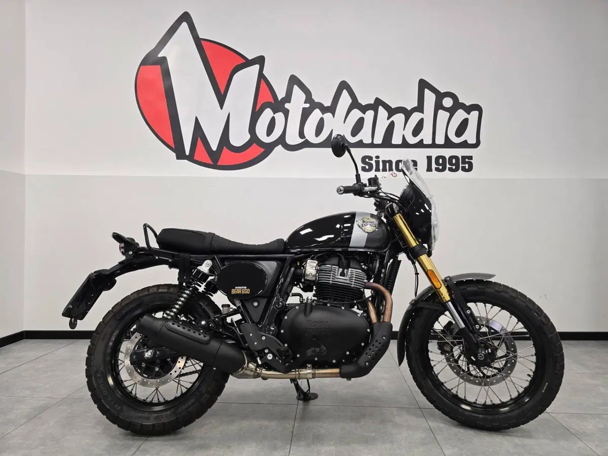 Royal Enfield Bear 650 (2025 - 26) (4)