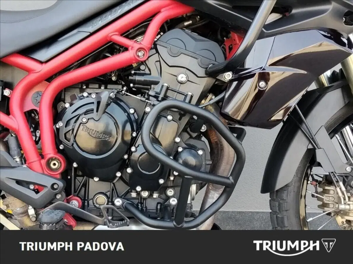 Triumph Tiger 800 XC SE ABS (2014) (3)