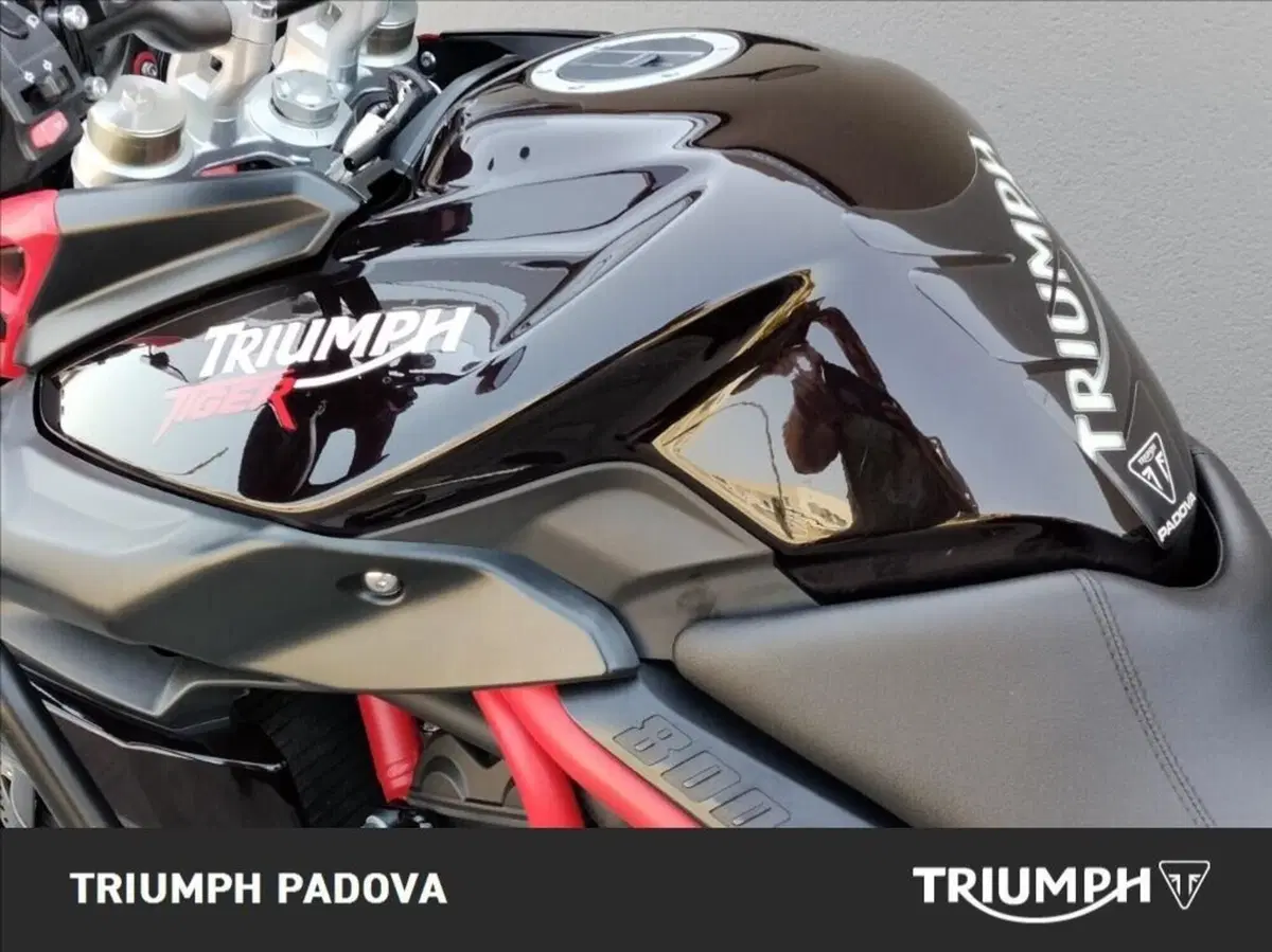 Triumph Tiger 800 XC SE ABS (2014) (9)