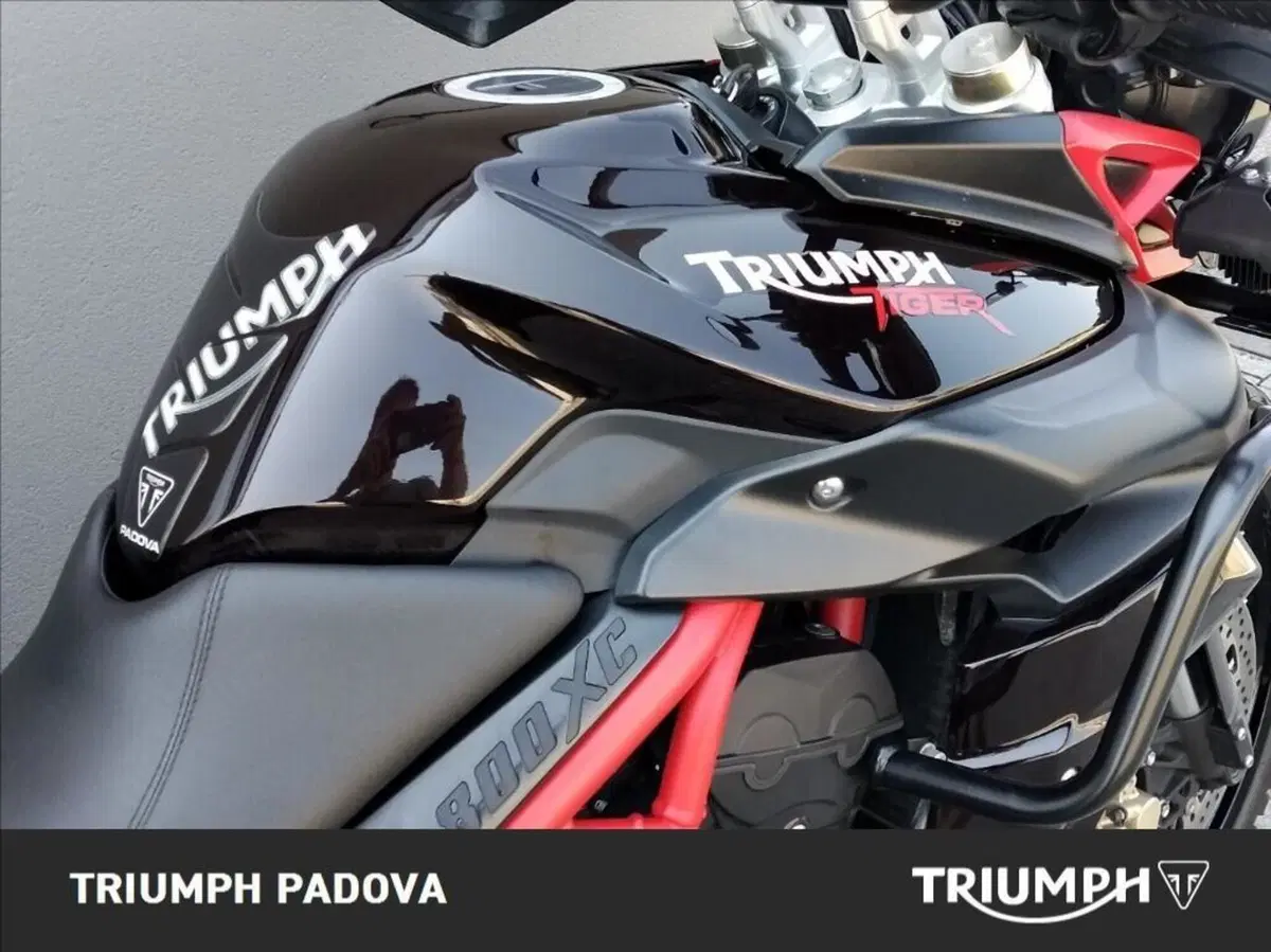 Triumph Tiger 800 XC SE ABS (2014) (4)