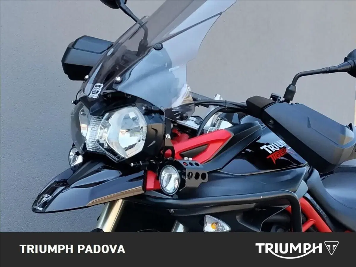 Triumph Tiger 800 XC SE ABS (2014) (10)