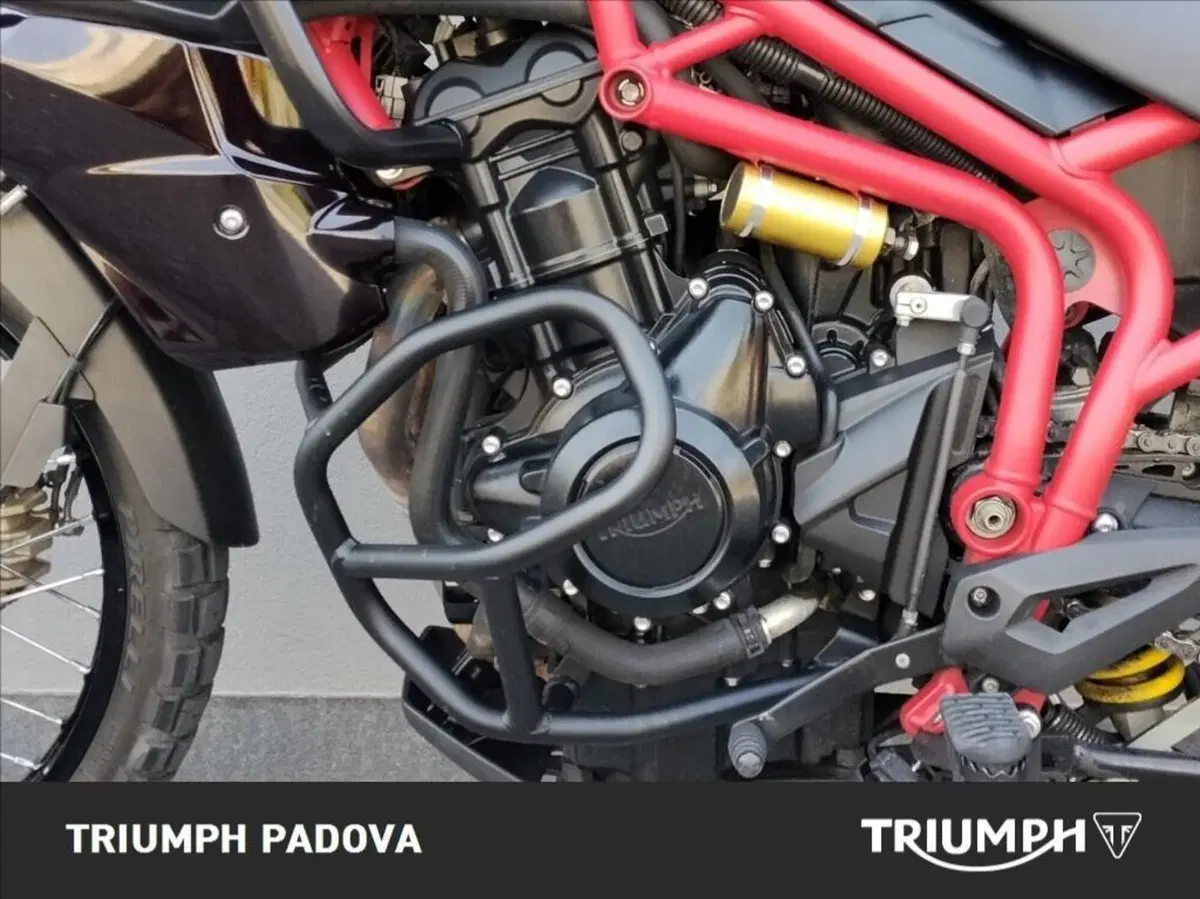 Triumph Tiger 800 XC SE ABS (2014) (8)