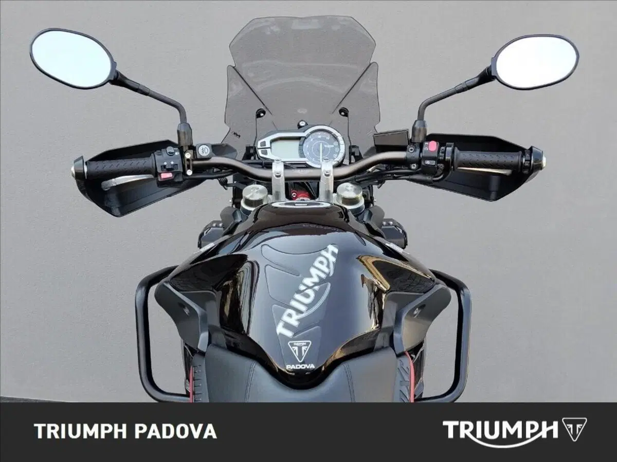 Triumph Tiger 800 XC SE ABS (2014) (11)