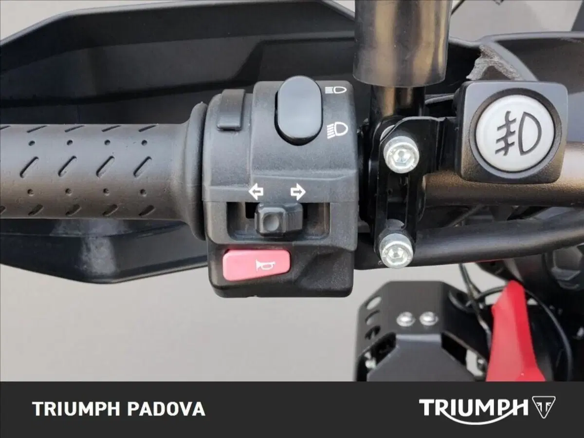 Triumph Tiger 800 XC SE ABS (2014) (12)