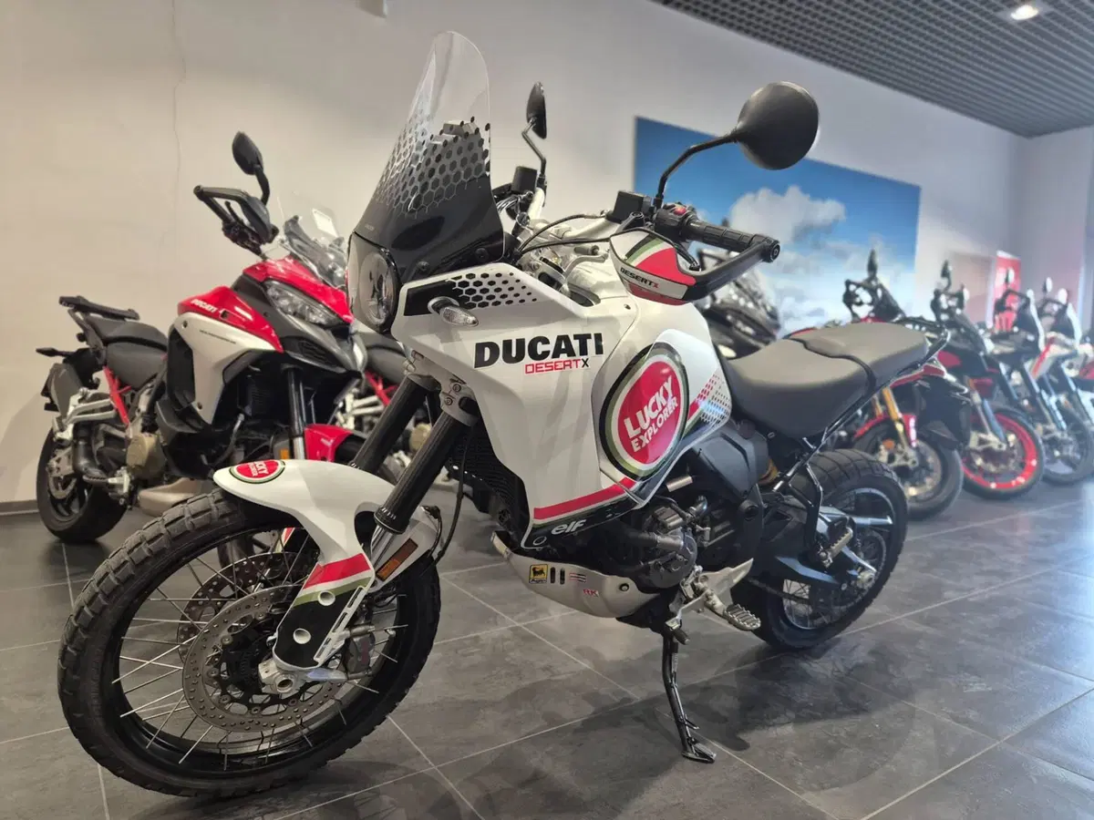 Ducati DesertX (2022 - 25) (6)