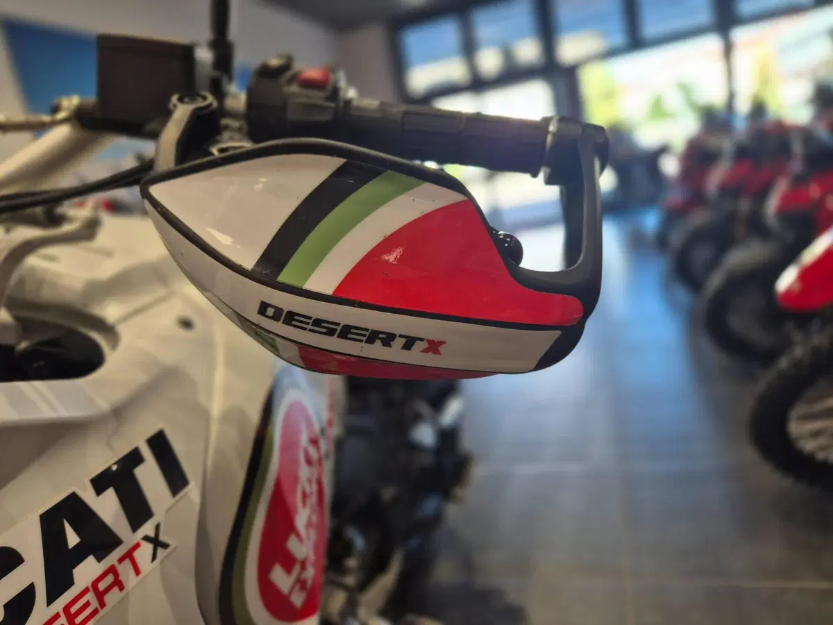Ducati DesertX (2022 - 25) (9)