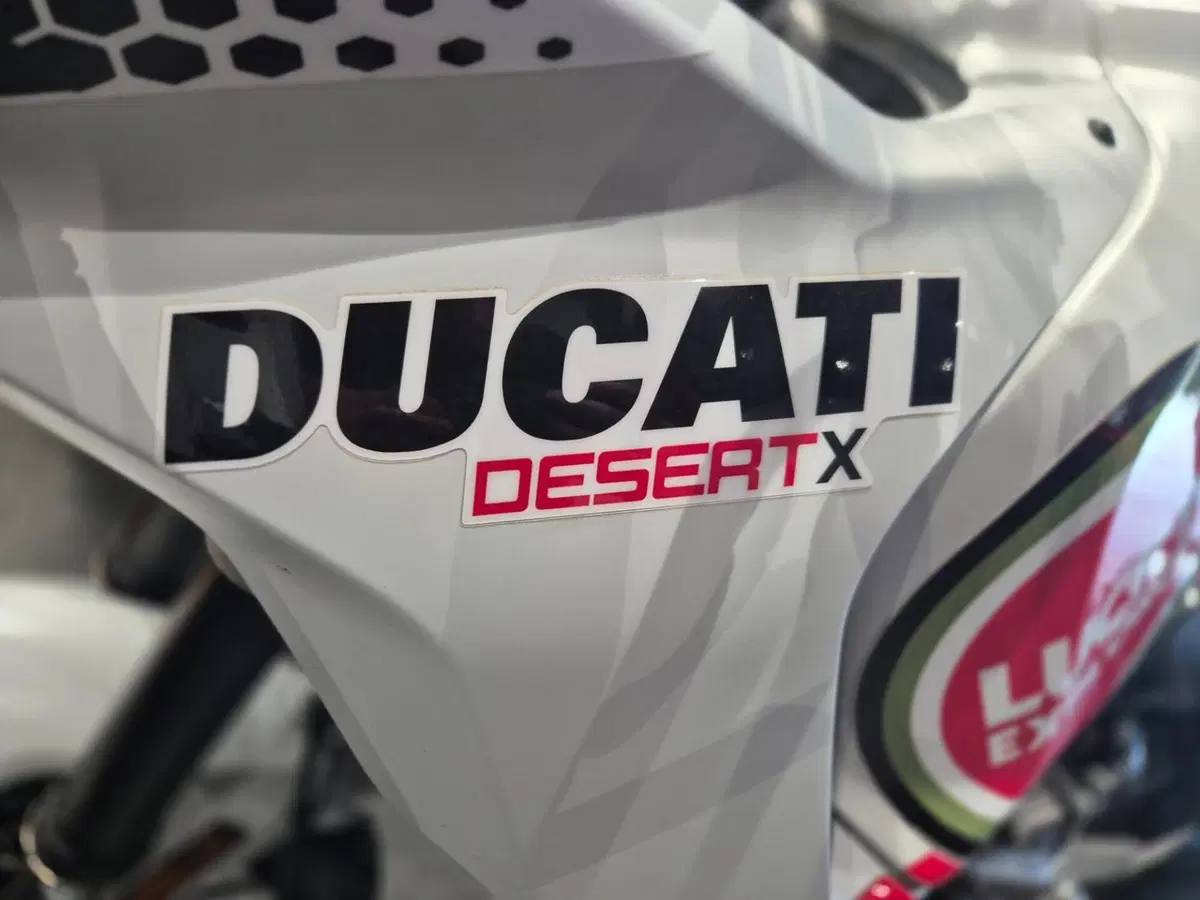 Ducati DesertX (2022 - 25) (10)