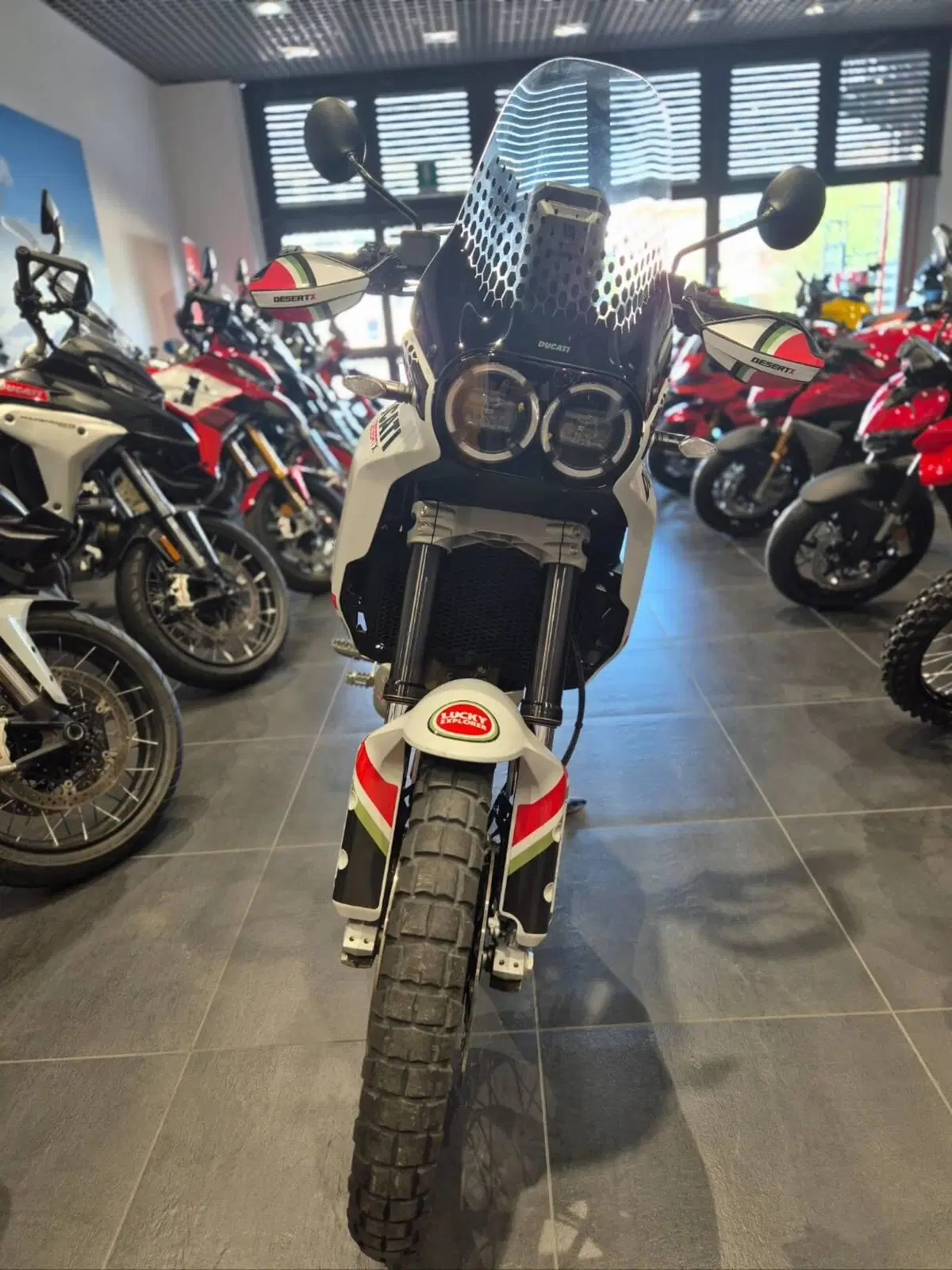 Ducati DesertX (2022 - 25) (13)