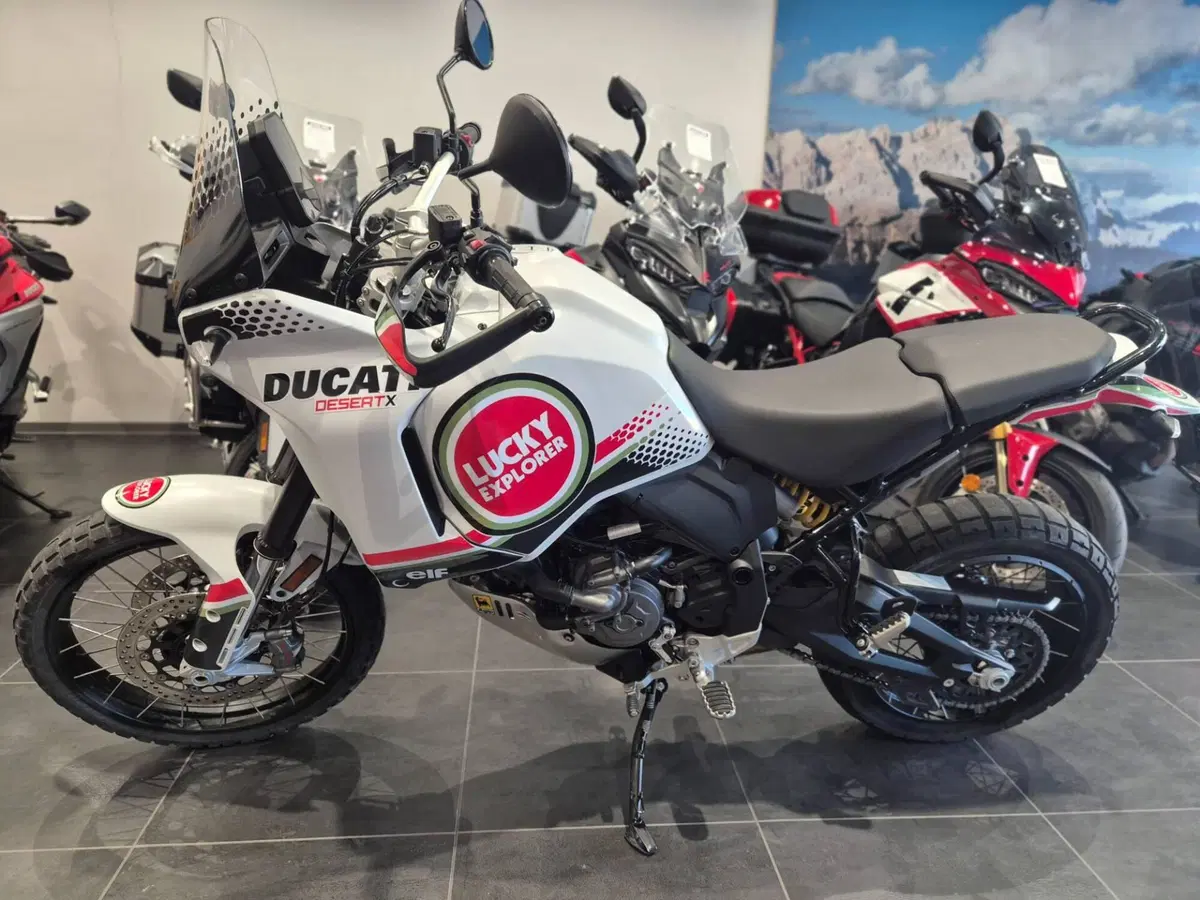 Ducati DesertX (2022 - 25) (7)