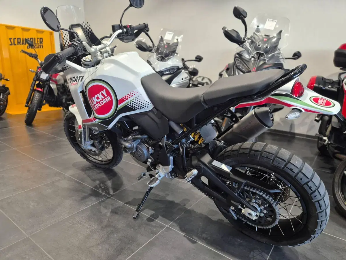 Ducati DesertX (2022 - 25) (8)