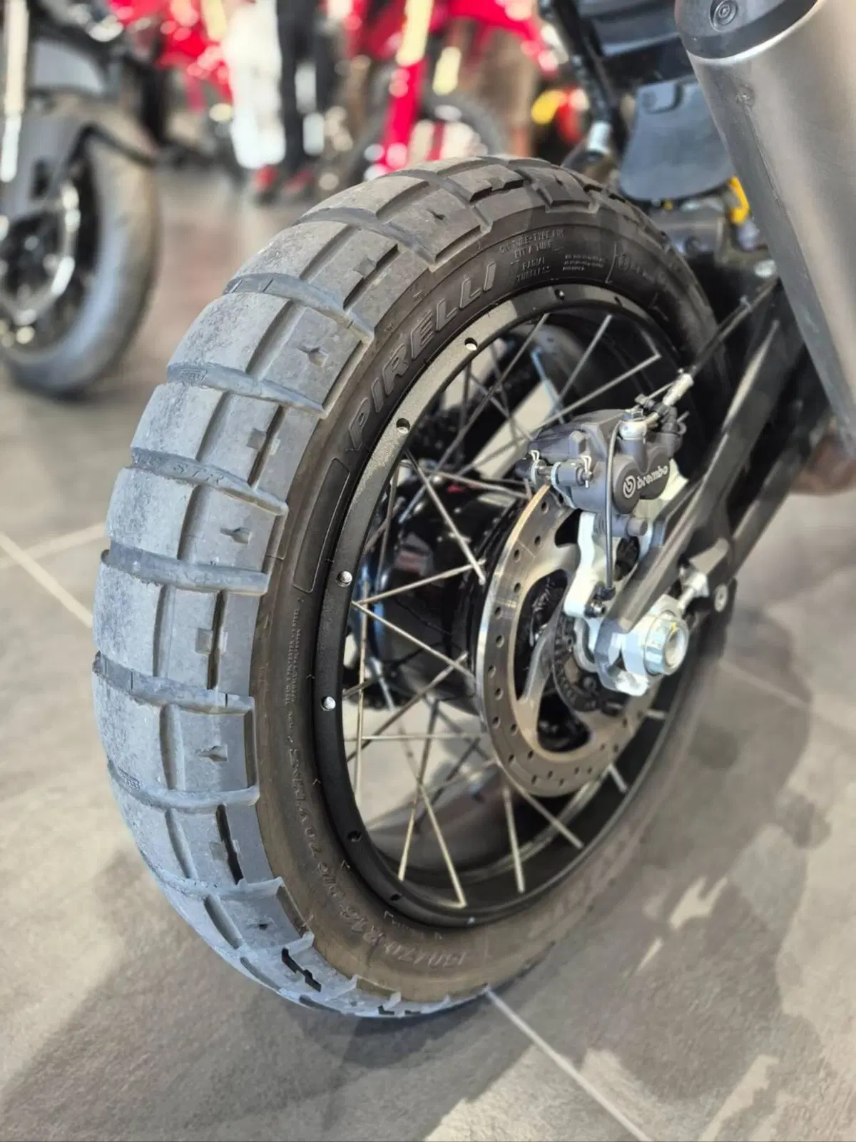 Ducati DesertX (2022 - 25) (16)