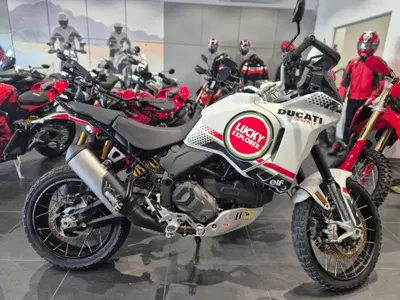 Ducati DesertX (2022 - 25) usata