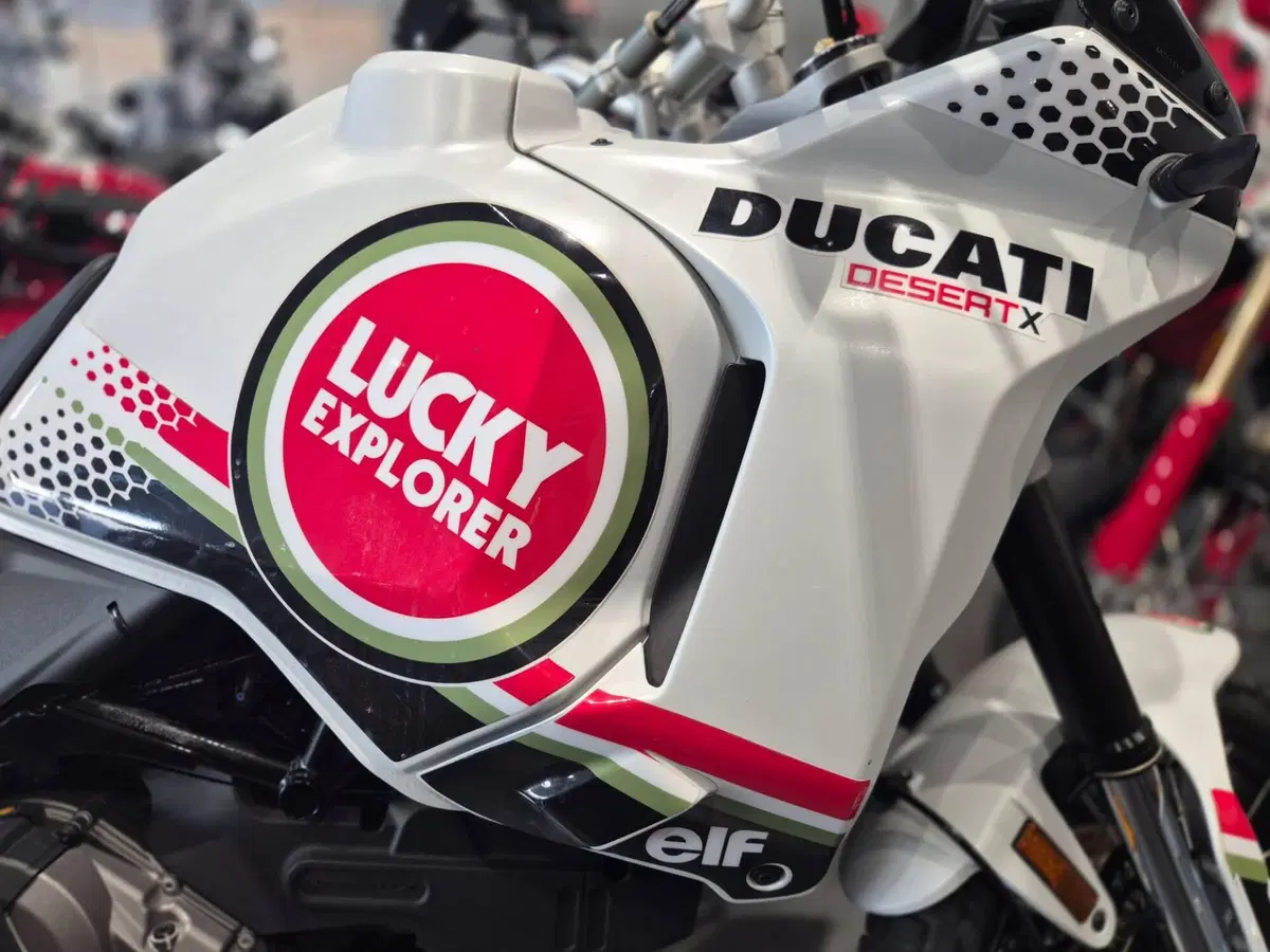 Ducati DesertX (2022 - 25) (18)