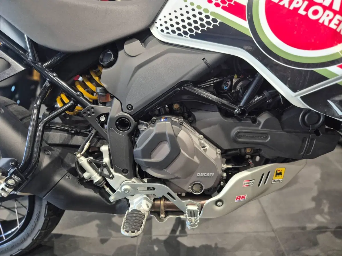 Ducati DesertX (2022 - 25) (12)