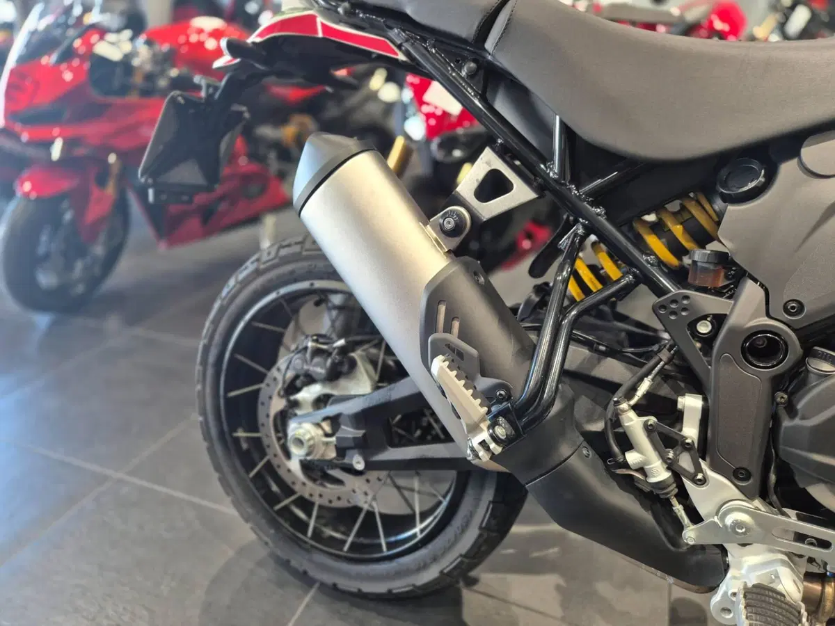 Ducati DesertX (2022 - 25) (11)