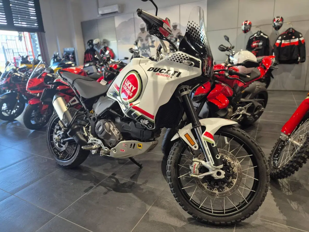 Ducati DesertX (2022 - 25) (2)