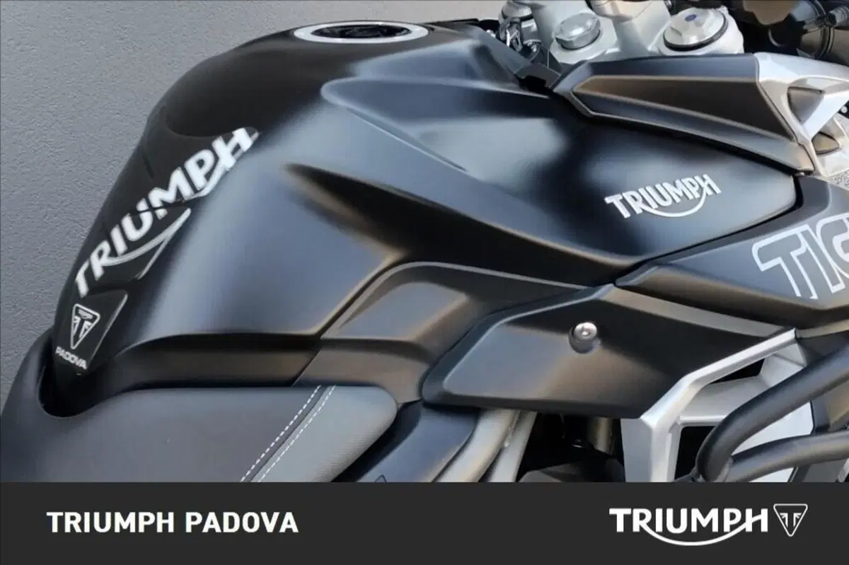 Triumph Tiger 800 XRx (2018 - 20) (4)