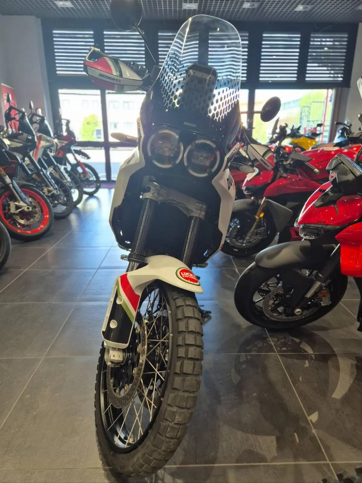 Ducati DesertX (2022 - 25) (4)