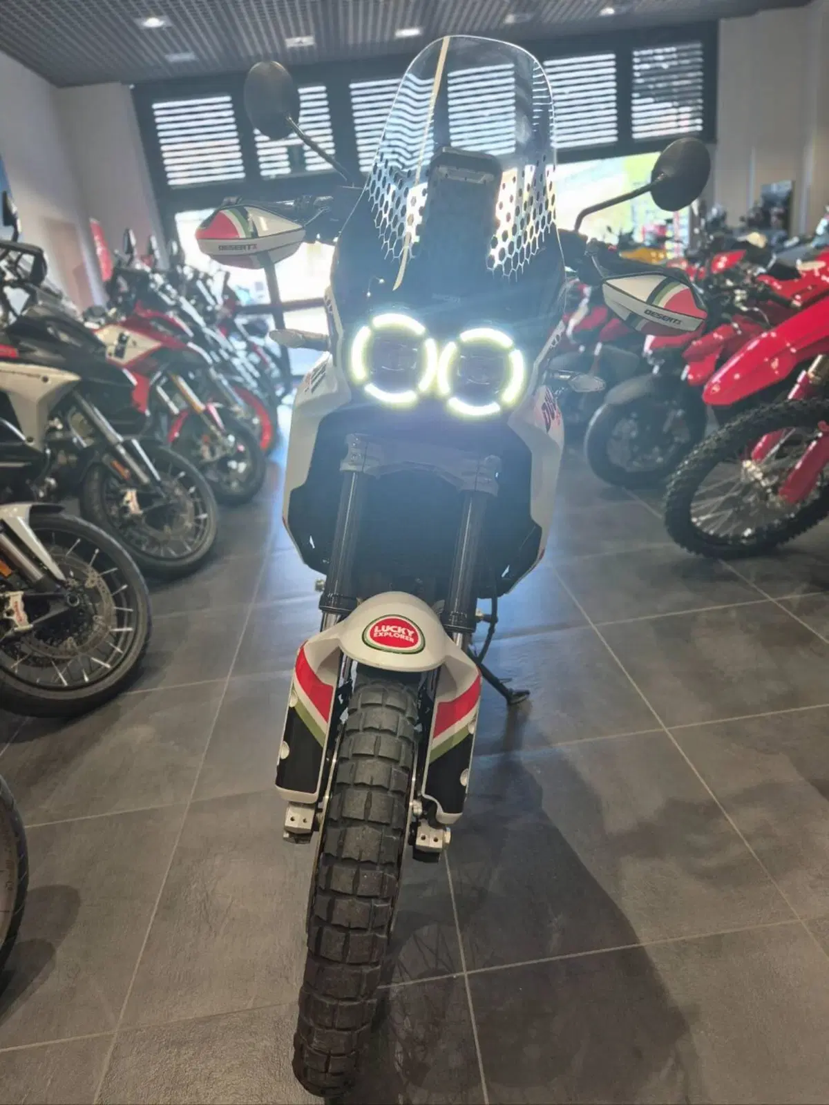 Ducati DesertX (2022 - 25) (3)