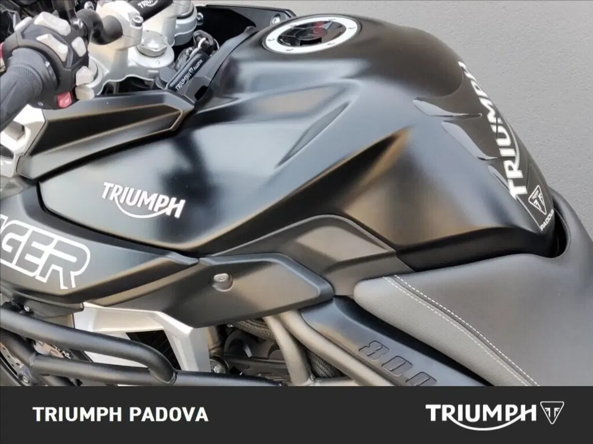Triumph Tiger 800 XRx (2018 - 20) (9)