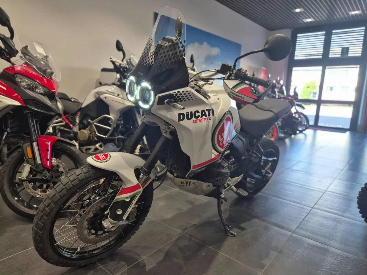 Ducati DesertX (2022 - 25) (5)