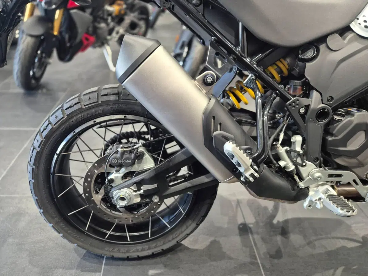 Ducati DesertX (2022 - 25) (20)