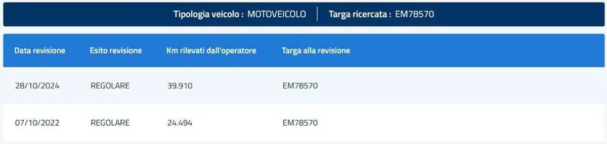 Harley-Davidson 1200 Iron (2018 - 20) - XL1200N (12)