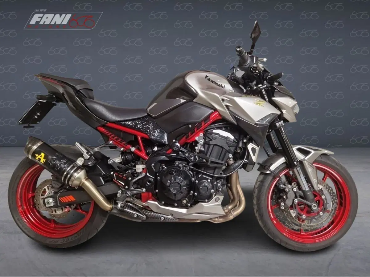 Kawasaki Z 900 (2021 - 24)