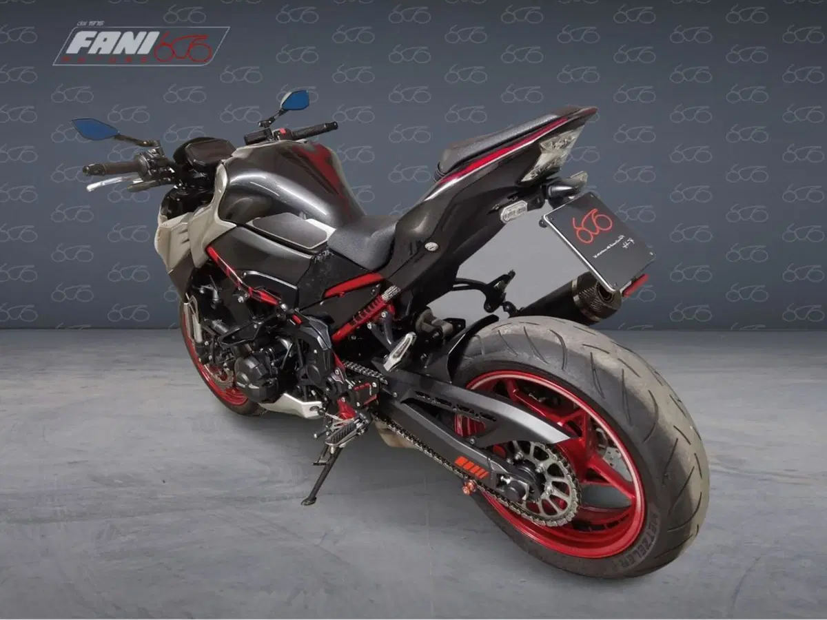Kawasaki Z 900 (2021 - 24) (4)