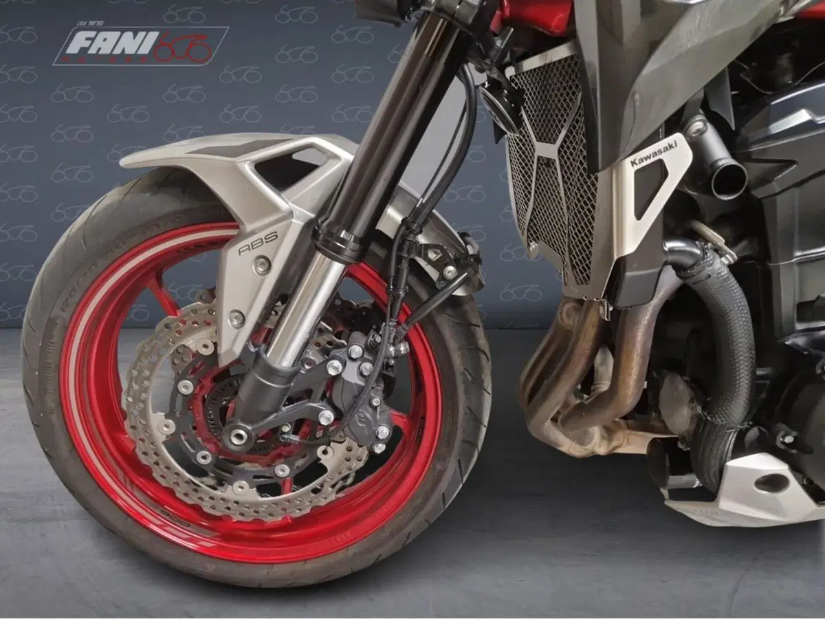 Kawasaki Z 900 (2021 - 24) (5)
