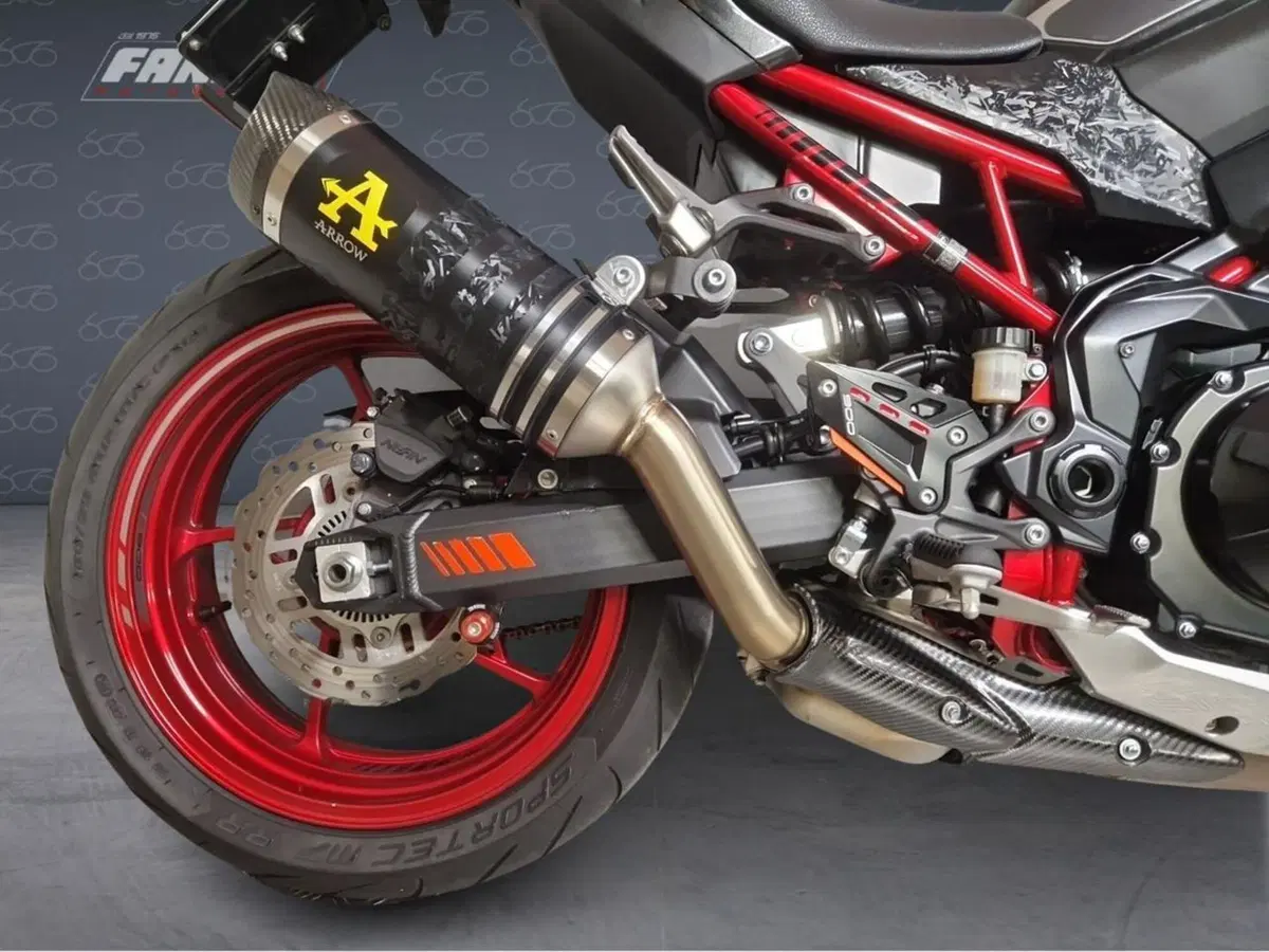 Kawasaki Z 900 (2021 - 24) (6)