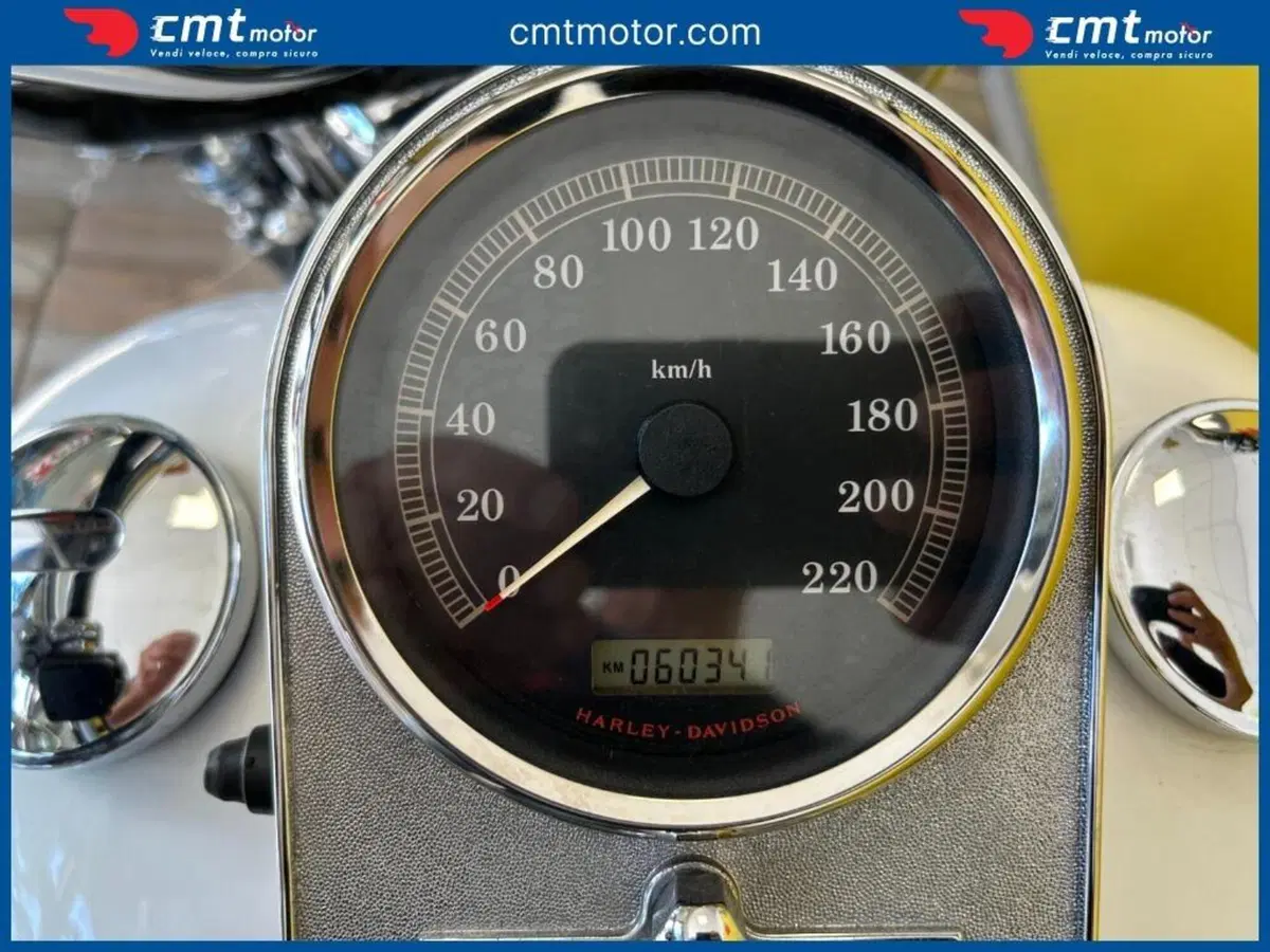 Harley-Davidson 1584 Road King Classic (2007 - 10) - FLHRC (5)