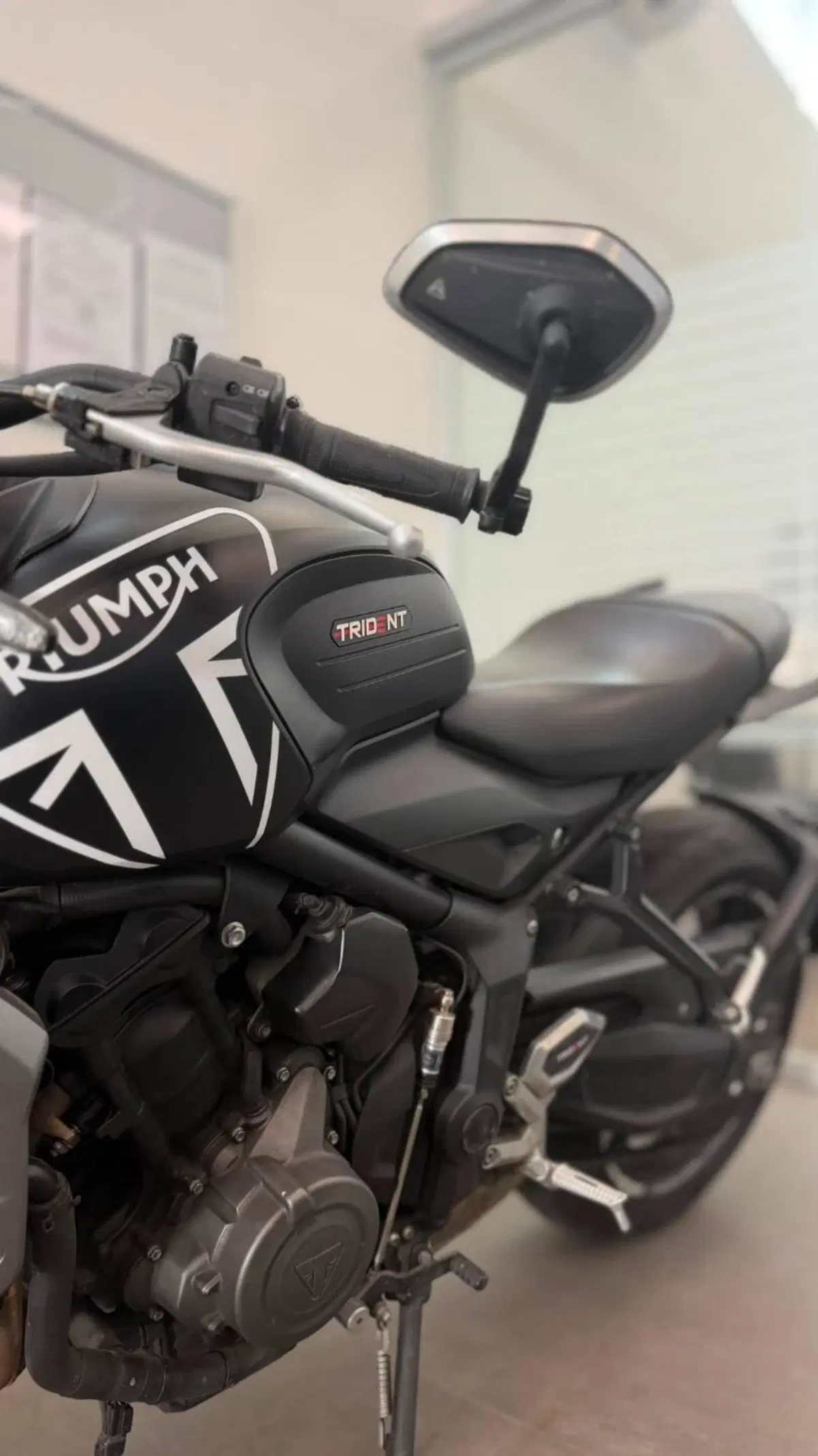Triumph Trident 660 (2021 - 24) (3)