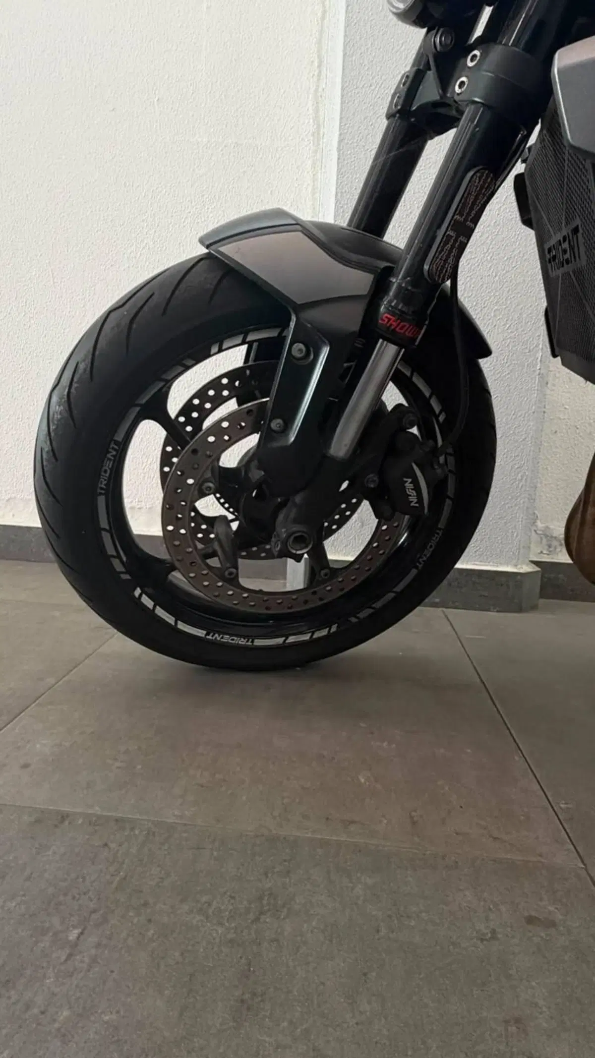Triumph Trident 660 (2021 - 24) (4)