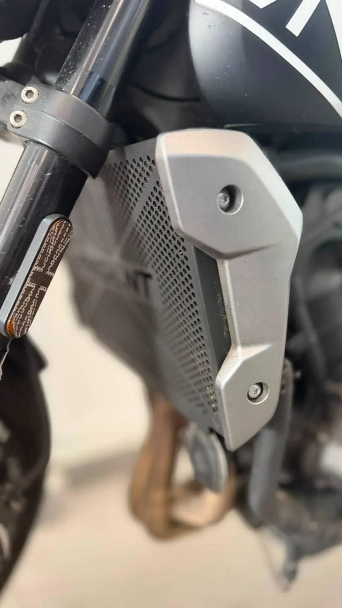 Triumph Trident 660 (2021 - 24) (6)