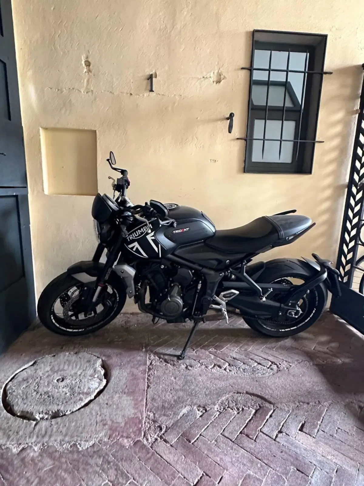 Triumph Trident 660 (2021 - 24) (2)
