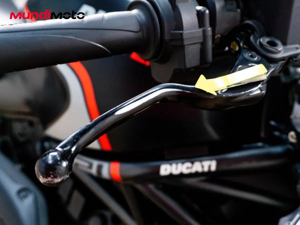 Ducati Monster 821 (2018 - 20) (14)