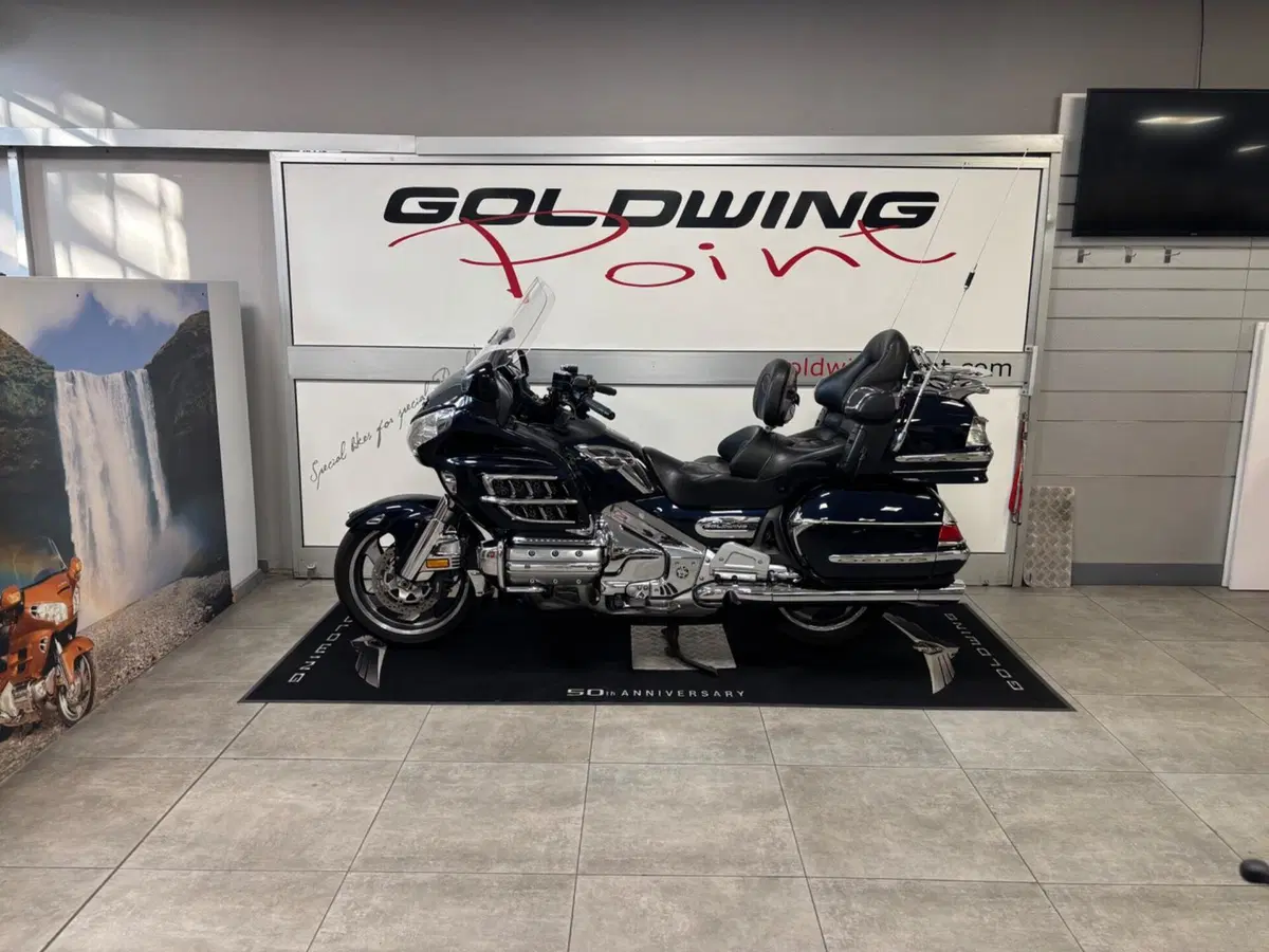 Honda GL 1800 Gold Wing (2007 - 11) (7)