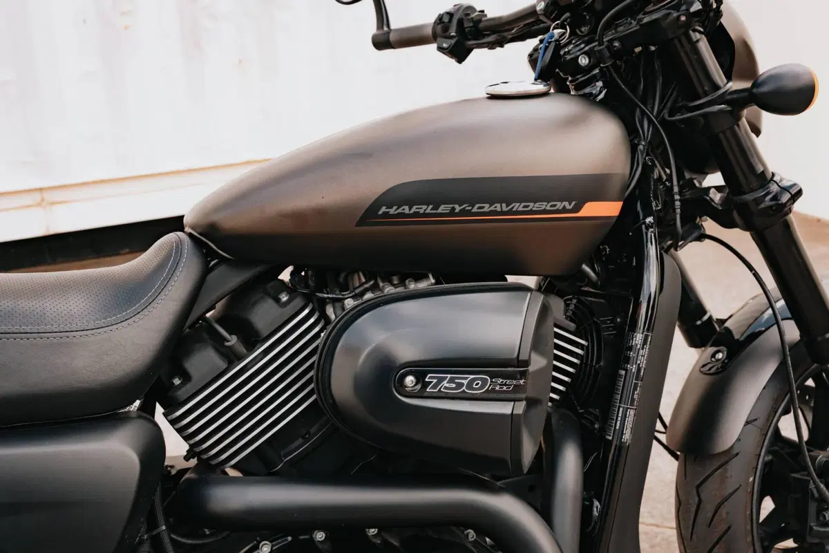 Harley-Davidson 883 Iron (2017 - 20) - XL 883N (2)